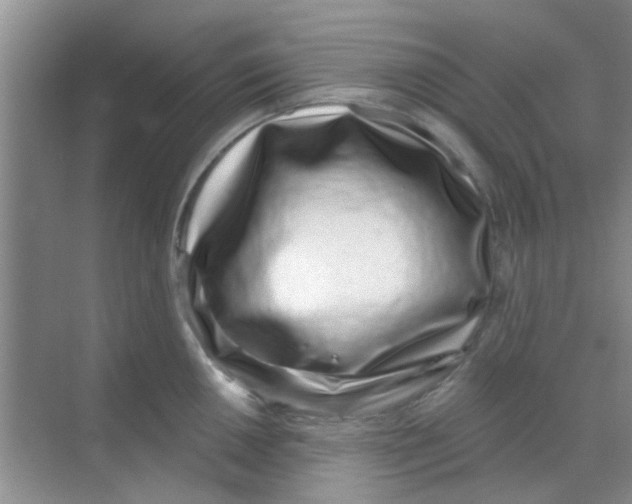 X0000068271050200605121841