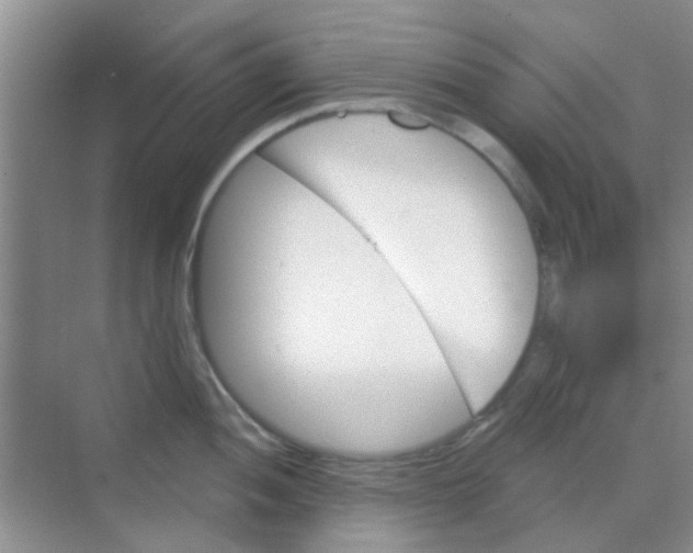 X0000068271052200605121841