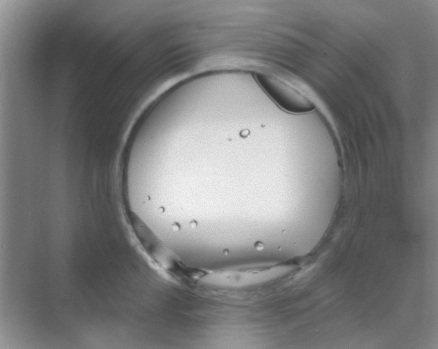 X0000068271053200605121841