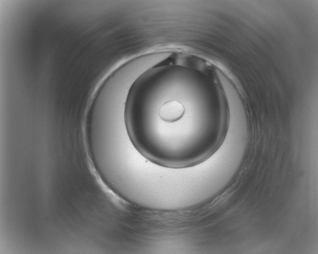 X0000068271054200605121841