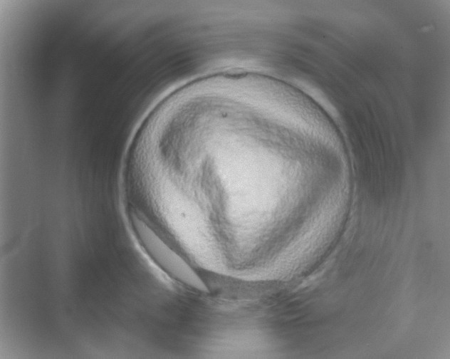 X0000068271056200605121841