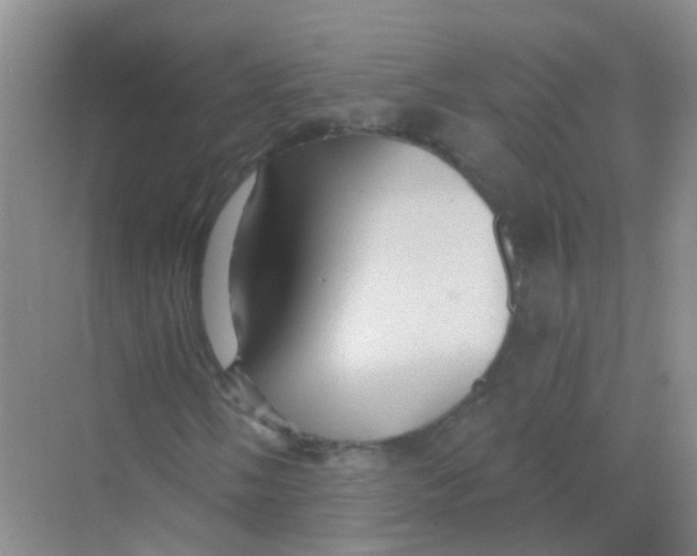 X0000068271058200605121840