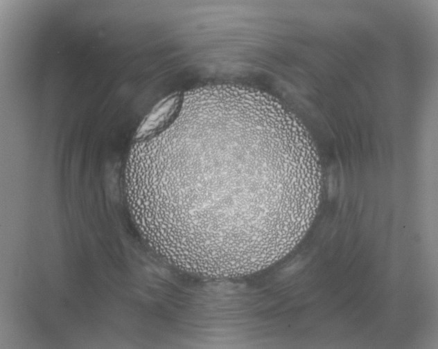 X0000068271059200605121840