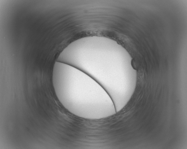 X0000068271060200605121840