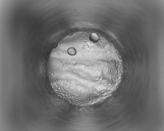 X0000068271063200605121840