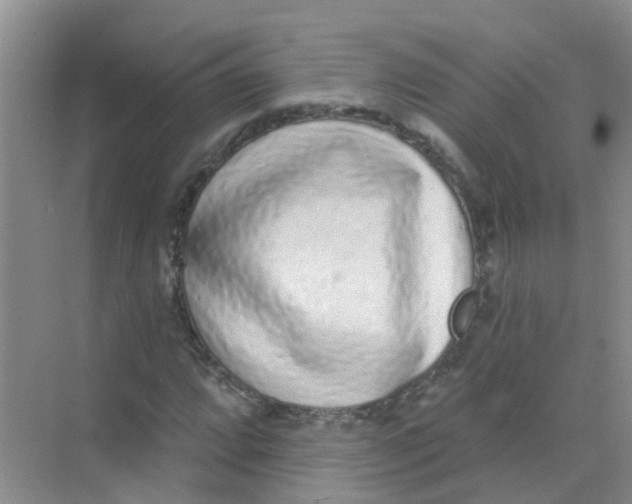 X0000068271064200605121840