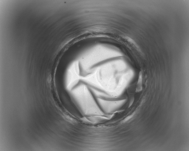 X0000068271065200605121840