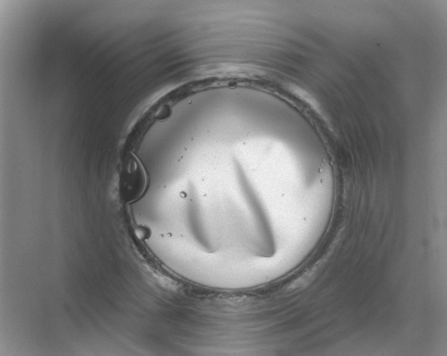 X0000068271066200605121840