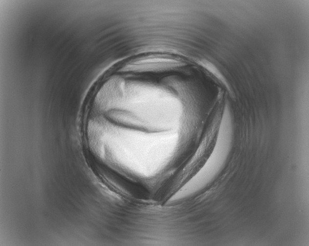 X0000068271068200605121840