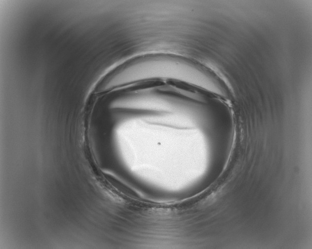 X0000068271069200605121840