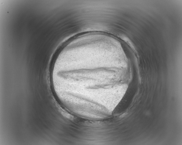 X0000068271072200605121840