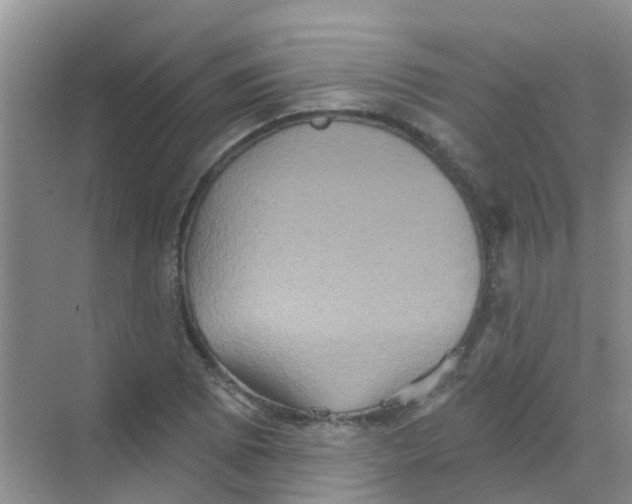 X0000068271073200605121840