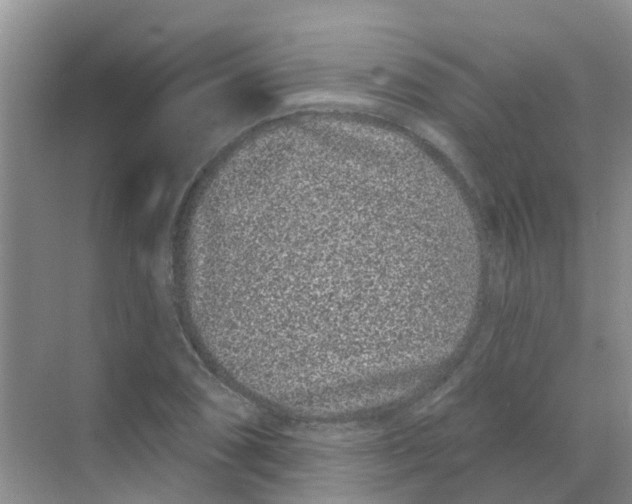 X0000068271074200605121840