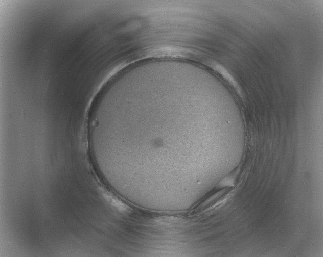 X0000068271075200605121840