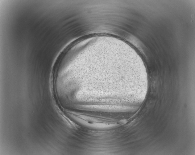 X0000068271076200605121840