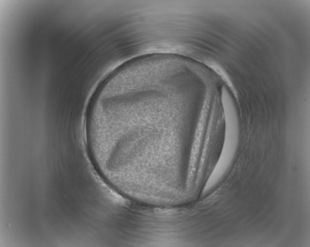 X0000068271080200605121840