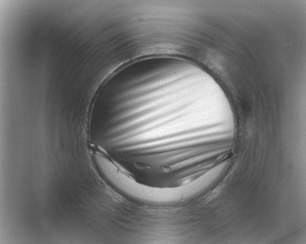 X0000068271081200605121840