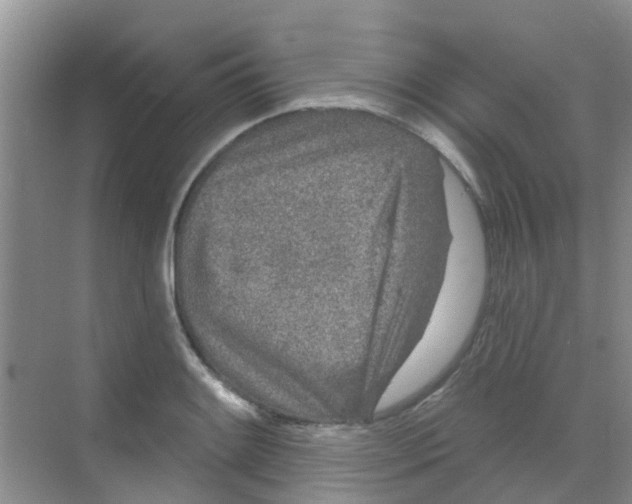 X0000068271084200605121840