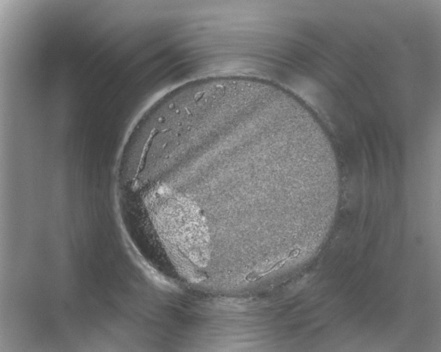 X0000068271086200605121840