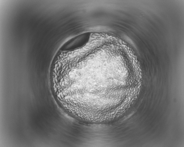 X0000068271087200605121840