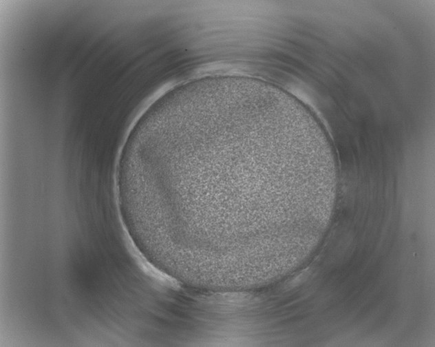 X0000068271090200605121840