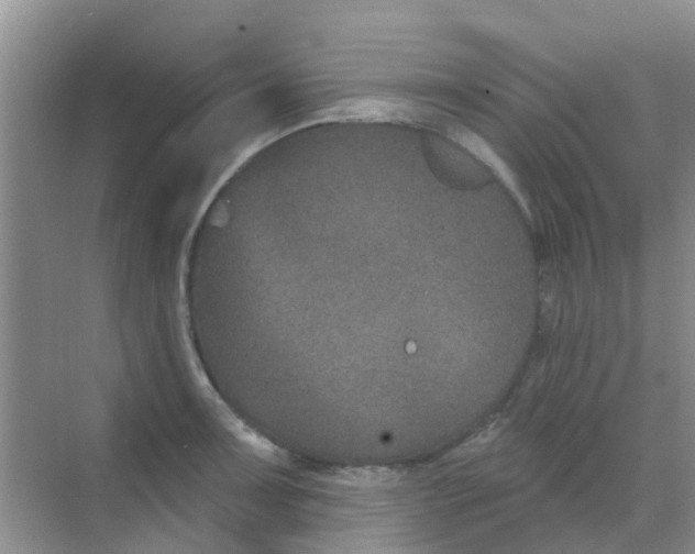 X0000068271091200605121840