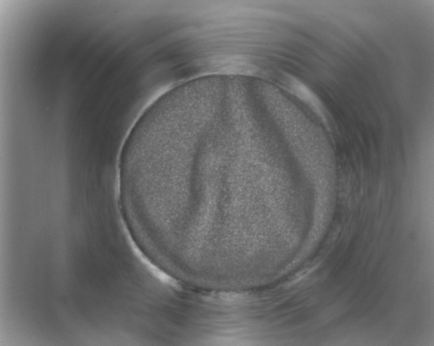 X0000068271095200605121840