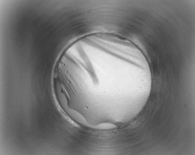 X0000068271096200605121840