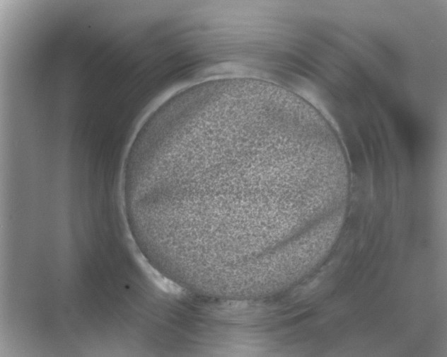 X0000068271098200605121839