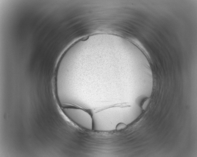 X0000068271100200605121839