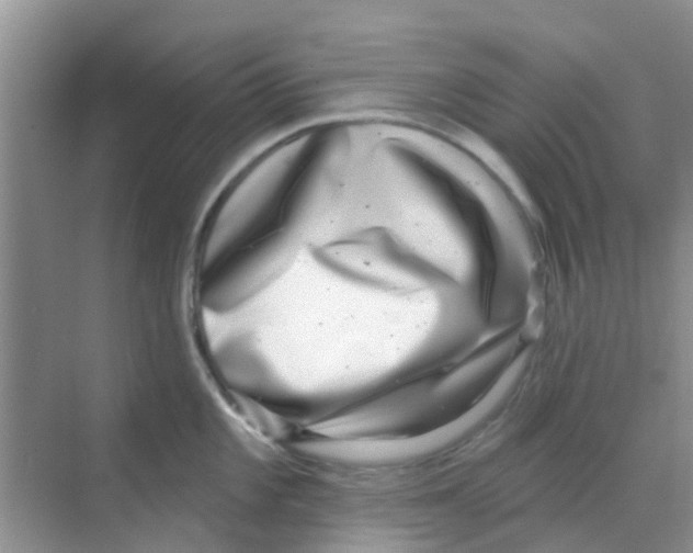 X0000068271101200605121839