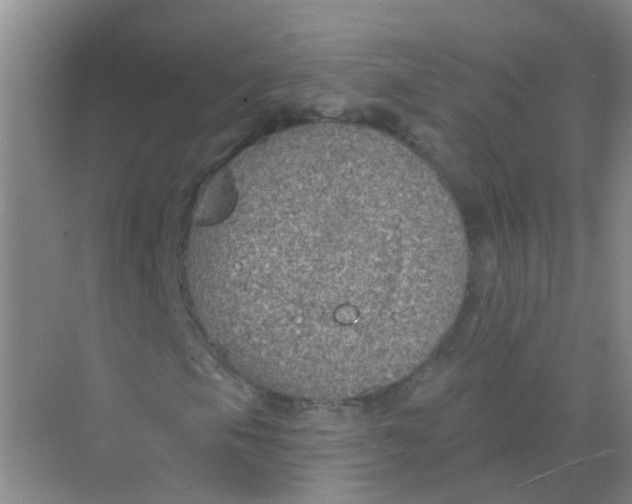 X0000068271105200605121839