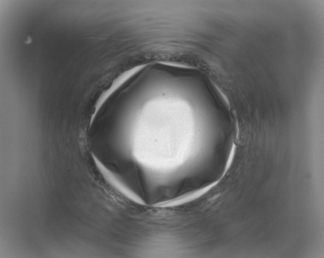 X0000068271109200605121839