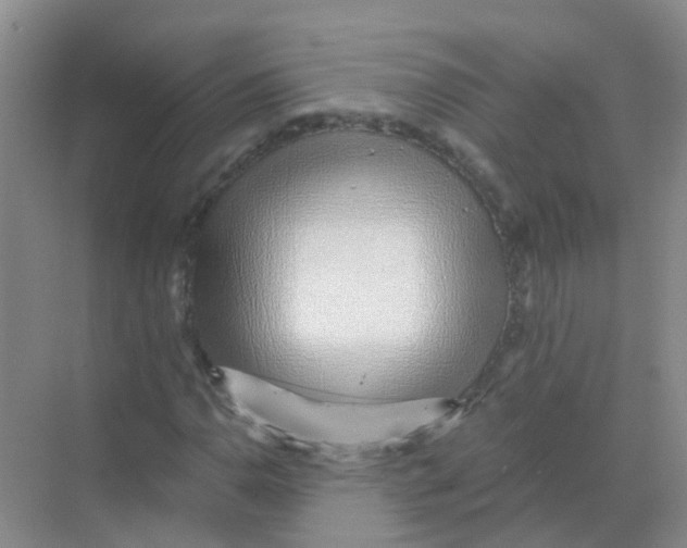 X0000068271110200605121839