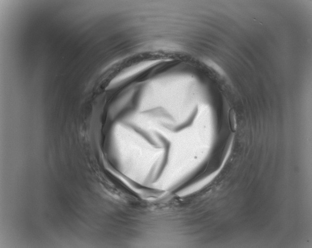 X0000068271112200605121839