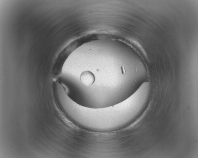 X0000068271114200605121839