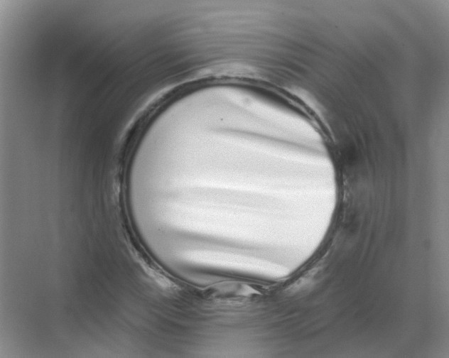 X0000068271115200605121839