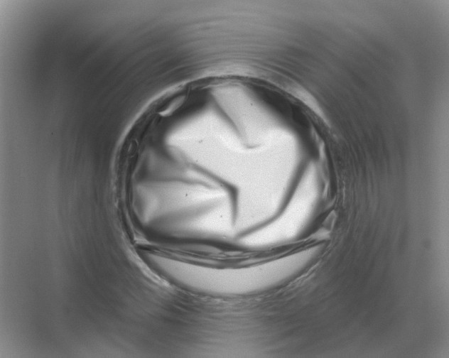 X0000068271116200605121839