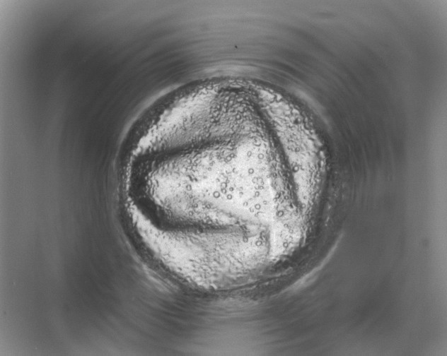 X0000068271117200605121839