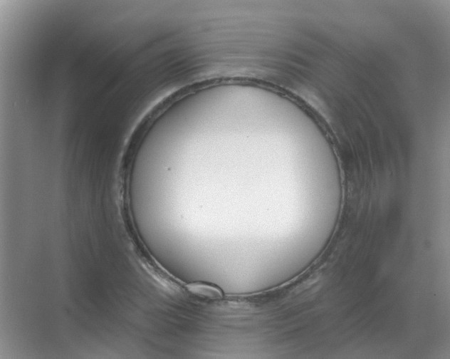 X0000068271119200605121839