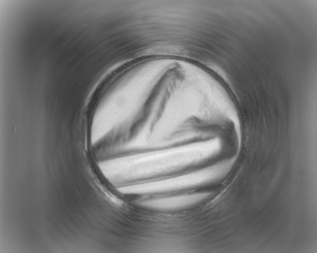 X0000068271123200605121839