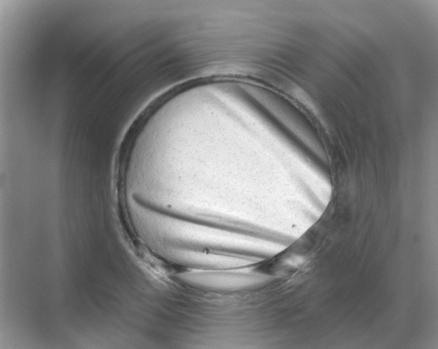 X0000068271124200605121839