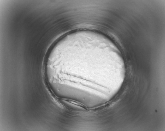 X0000068271125200605121839