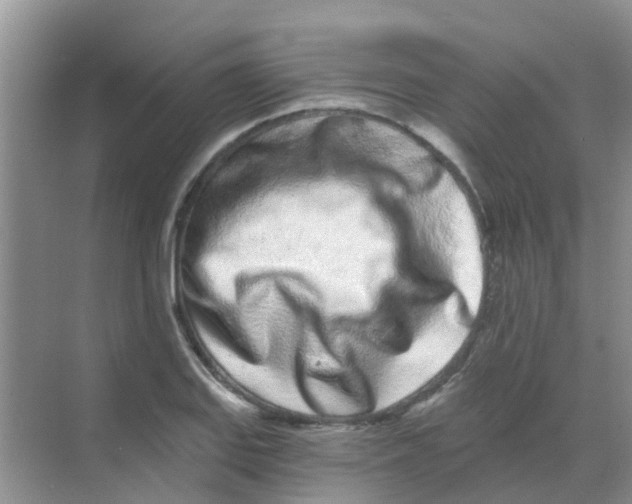 X0000068271127200605121839