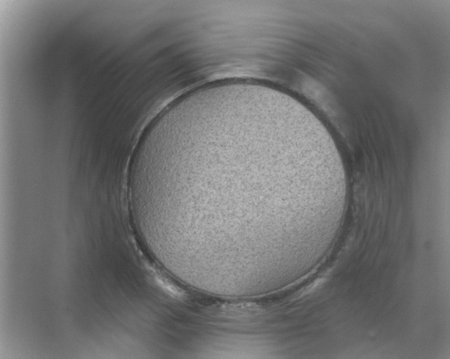 X0000068271129200605121839