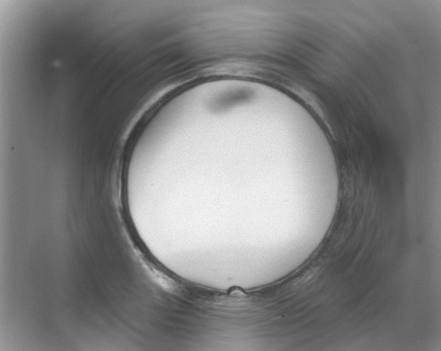 X0000068271131200605121839