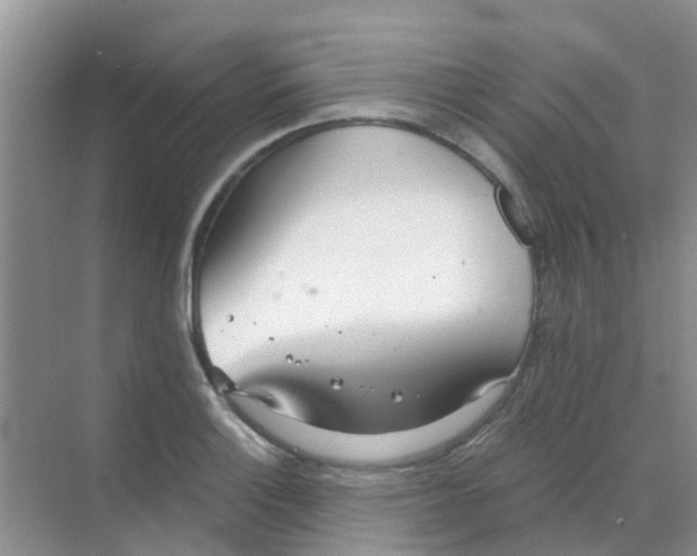 X0000068271132200605121839