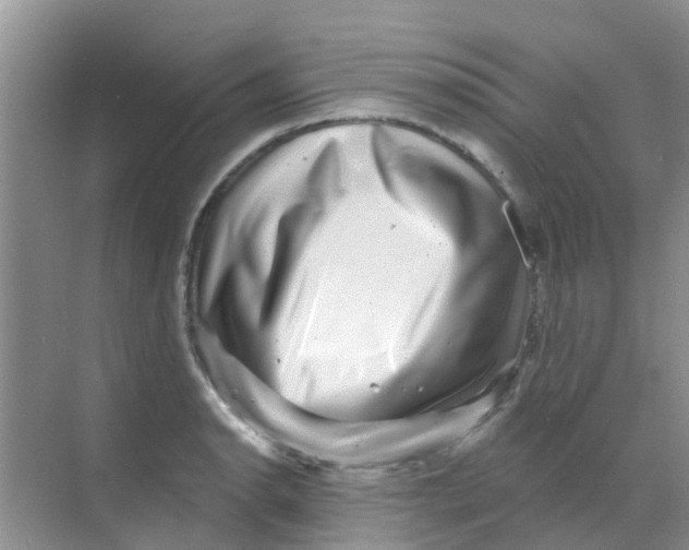 X0000068271134200605121839