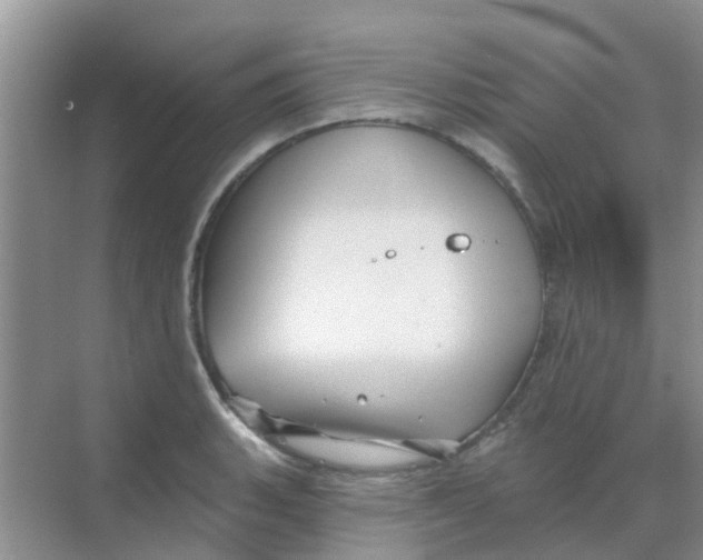 X0000068271135200605121839