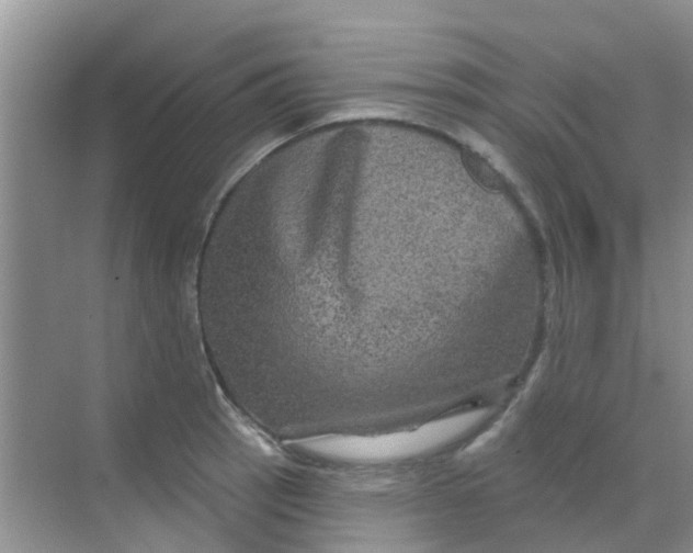 X0000068271137200605121839